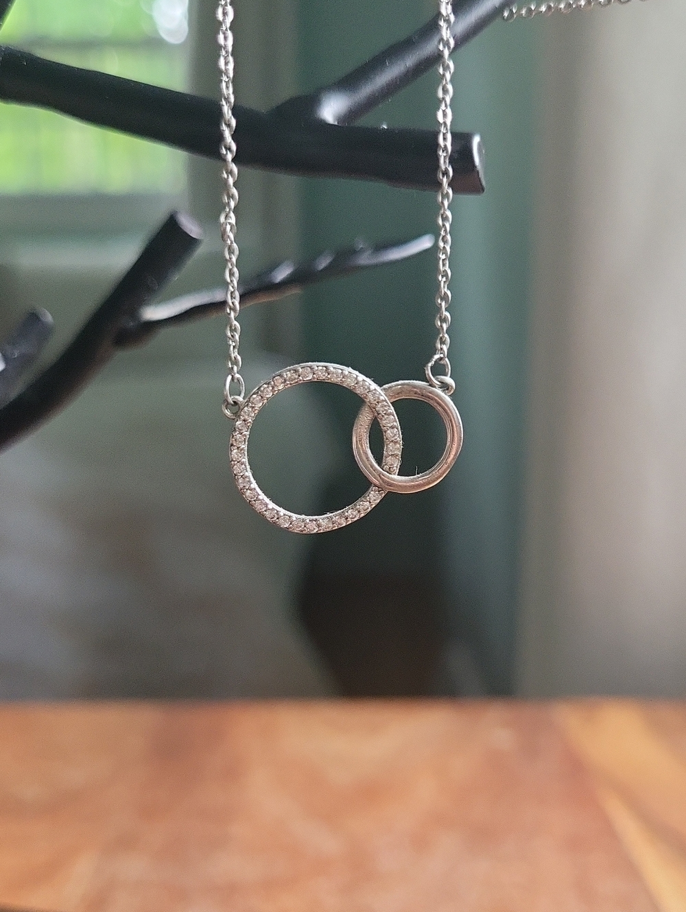 Interlocking Circle Pendant Necklace in Silver